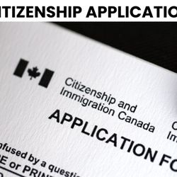 Mainspring Immigration