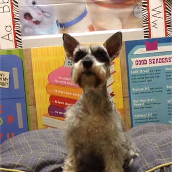 PetSmart - Tyler loves daycamp! Staff is awesome & take great care of him. - Pet Stores Near Me - Houston, Texas PetSmart - Tyler loves daycamp! Staff is awesome & take great care of him. - Pet Stores Near Me - Houston, Texas