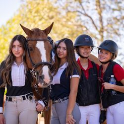 Alderin Sporthorses