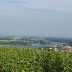 Weingut Andrea Mann - Blick über Weinberge, Nierstein und den Rhein