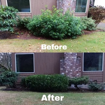 TGG Services - before and after photos of landscaping - Landscaping Near Me TGG Services - before and after photos of landscaping - Landscaping Near Me