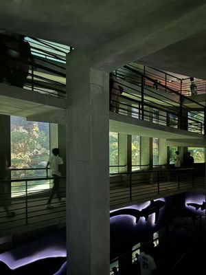 National Aquarium by null