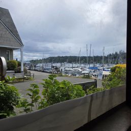 View from my table on the big deck