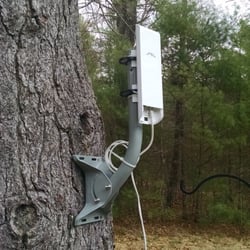 Nemasket Fiber - A subscriber's installed radio on a tree nearby their house.