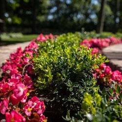 Hoffman's Nursery and Landscaping