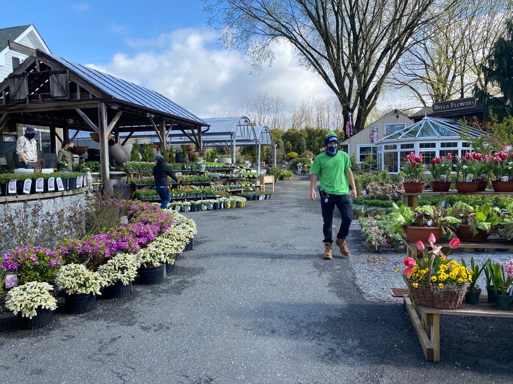MAIN STREET NURSERY Updated June 2024 29 Photos & 34 Reviews 475