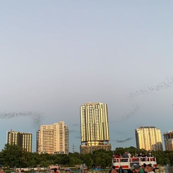 Live Love Paddle Austin Kayak Tours and Rentals - So. Many. Bats!! And not one single mosquito bite! - Rafting/Kayaking Near Me - Austin, Texas