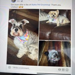 Styles Pet Grooming