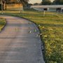 Photo of Cypress Park