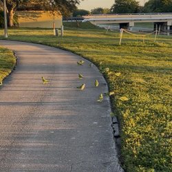 Cypress Park