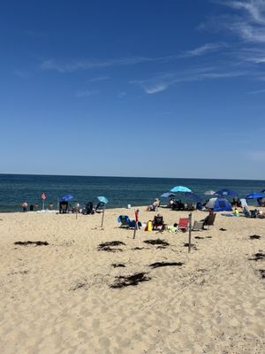 Coast Guard Beach by null