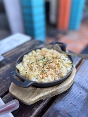 Hungry Crowd by null