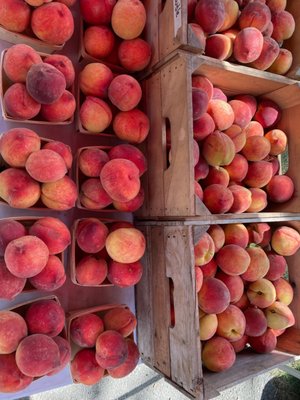 Lawrenceville Farmers Market by null