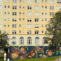 Monarch Butterflies