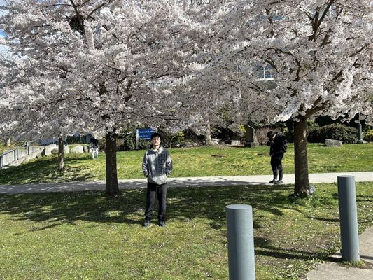 The University of British Columbia by null