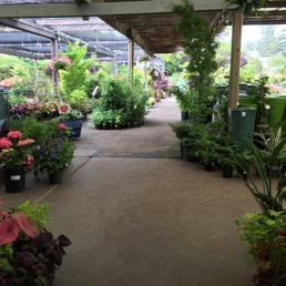 Ahh a little piece of heaven