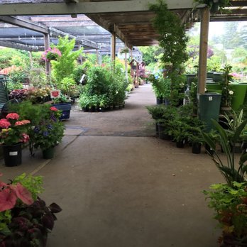 Sloat Garden Center - Ahh a little piece of heaven - Nurseries & Gardening Near Me - Mill Valley, California