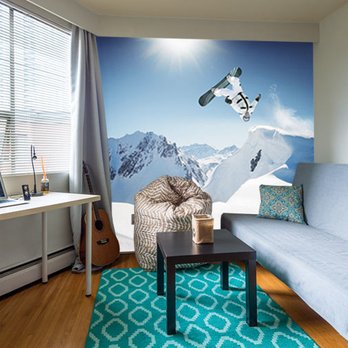 Magic Murals - Extreme walls for extreme sports enthusiasts. Murals for the not-so-extreme too! MagicMurals.com - Wallpapering Near Me - Smithfield, North Carolina