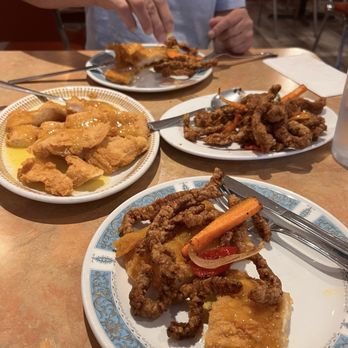 Plaza Restaurant - Lemon chicken Szeschuan beef - Chinese Near Me - Winnipeg, Manitoba Plaza Restaurant - Lemon chicken Szeschuan beef - Chinese Near Me - Winnipeg, Manitoba