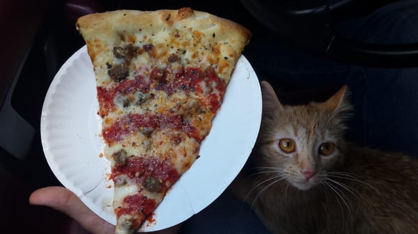 The Pizza Stop by null
