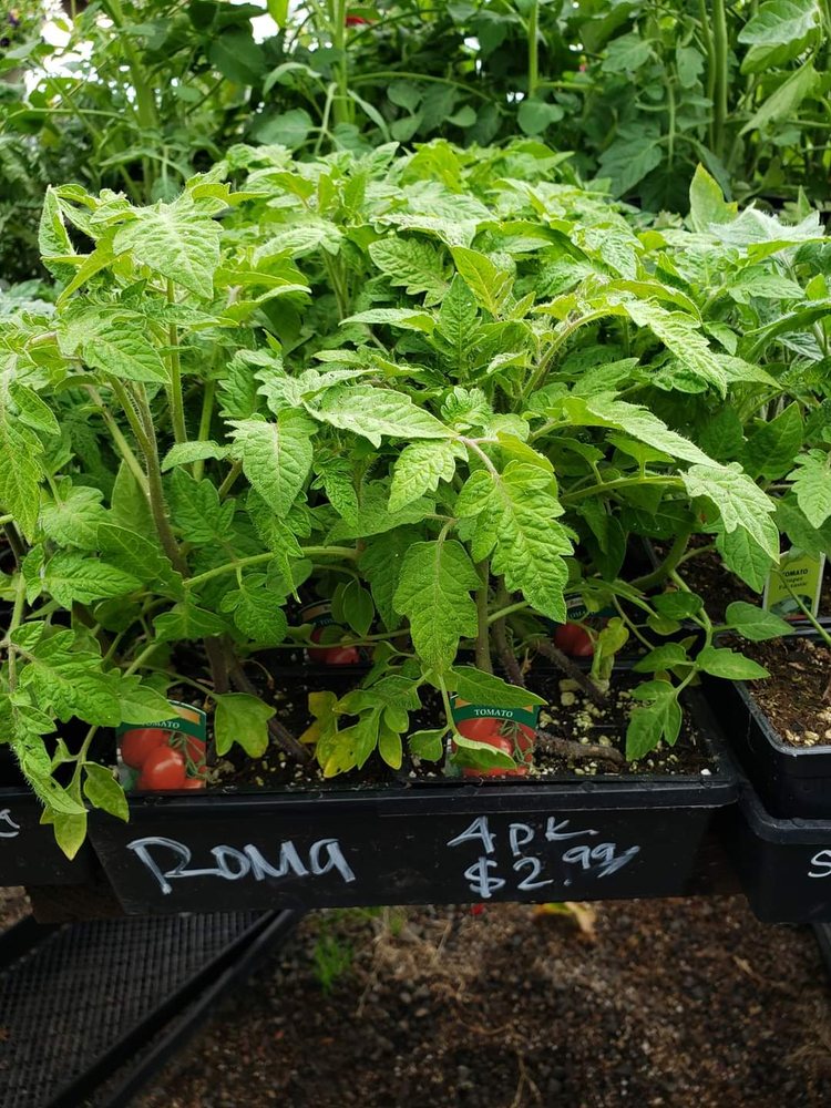 LEANNE’S FLOWER SHOP AND GARDEN CENTER Updated September 2024 16