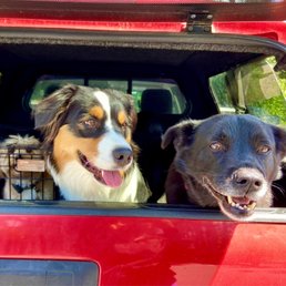 Fenway and his crew!