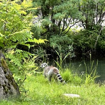 Granby Zoo - Zoos Near Me - Granby, Quebec Granby Zoo - Zoos Near Me - Granby, Quebec