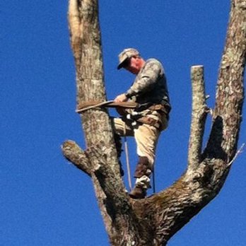 Babe's Tree Service - Tree Services Near Me - Walker, Louisiana Babe's Tree Service - Tree Services Near Me - Walker, Louisiana