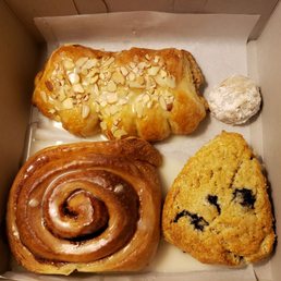 Bear Claw
