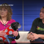Photo of Bark Busters Home Dog Training Southern CT
