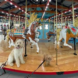 Pier Village Carousel