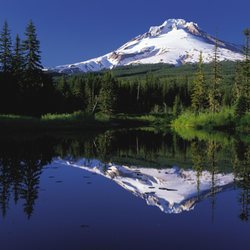 TMS Oregon