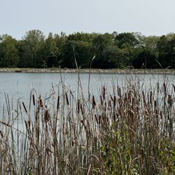 Possum Creek Metropark