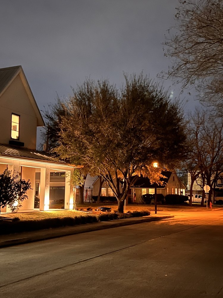 Cortes Tree Services - tree service in Houston, TX