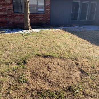 LR Tree Services - After - Tree Services Near Me - Garland, Texas