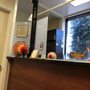 Cristina Chavez, DDS