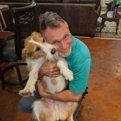 Phoenix Appliance Services - We love dogs!