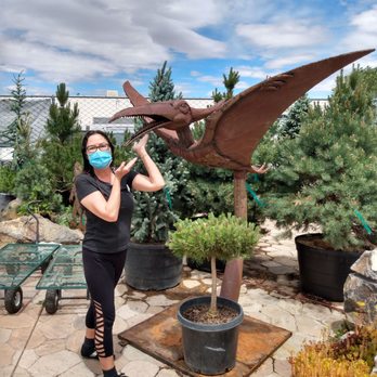 Creative Gardens - Found Teri the pterodactyl!! - Landscaping Near Me - Sparks, Nevada