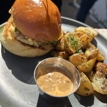 Parakeet Cafe - Carlsbad - Best Burger Ever - Coffee & Tea Near Me - Carlsbad, California Parakeet Cafe - Carlsbad - Best Burger Ever - Coffee & Tea Near Me - Carlsbad, California