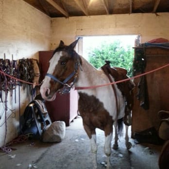 Valle Vista Stables - Horseback Riding Near Me - Victoria, British Columbia Valle Vista Stables - Horseback Riding Near Me - Victoria, British Columbia