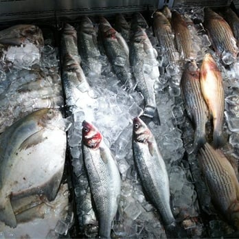 168 Market - Sea Bass and other Fish are available - Fruits & Veggies Near Me - Alhambra, California 168 Market - Sea Bass and other Fish are available - Fruits & Veggies Near Me - Alhambra, California