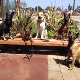 Some of OJ's students discussing class earlier in the day. Some of OJ's students discussing class earlier in the day.