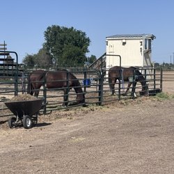 Stellar Ranch - More boarding stalls