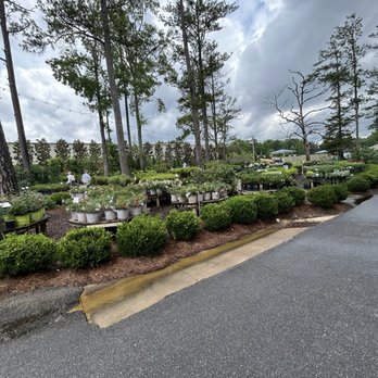 Botanic - Grounds--flower area - Southern Near Me - Opelika, Alabama