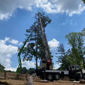 Heritage Tree & Landworks - a crane working on a tree - Tree Services Near Me Heritage Tree & Landworks - a crane working on a tree - Tree Services Near Me