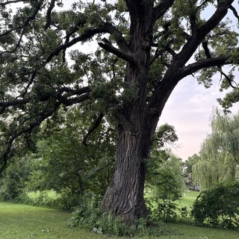 LT Organic Farm & Restaurant - Beautiful setting outside - Health Markets Near Me - Waukee, Iowa