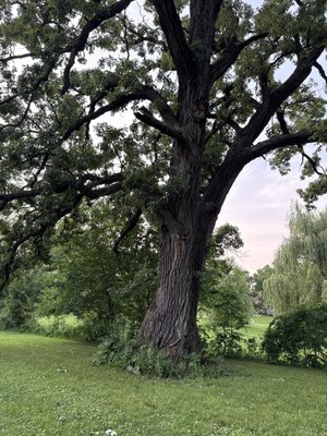 LT Organic Farm Restaurant by null