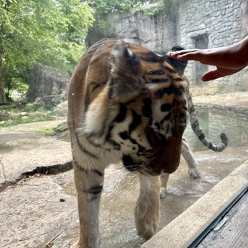 Columbus Zoo and Aquarium - Zoos Near Me - Powell, Ohio