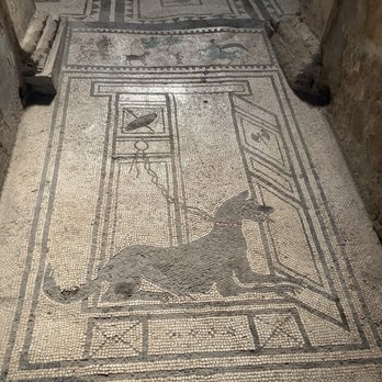 Askos Tours - 'Watch Dog' - Walking Tours Near Me - Pompei, NA