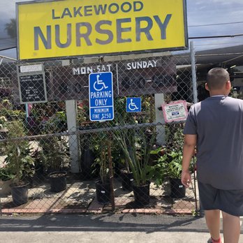 Lakewood Nursery - Front of the nursery - Nurseries & Gardening Near Me - Cypress, California Lakewood Nursery - Front of the nursery - Nurseries & Gardening Near Me - Cypress, California